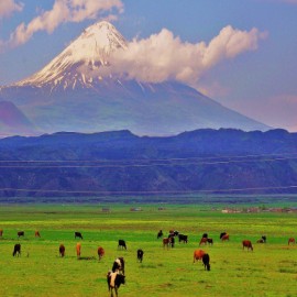 Ağrı'nın turizm vitrini dijital ortama taşınıyor