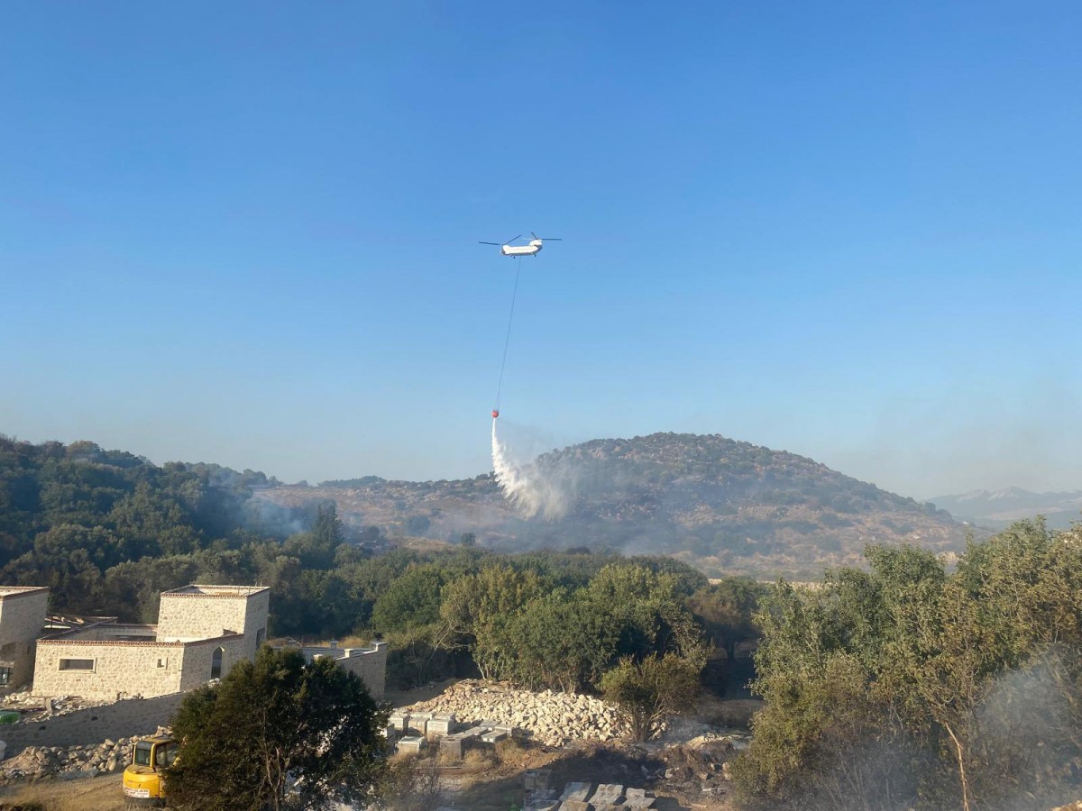 İzmir'deki orman yangınları devam ediyor;