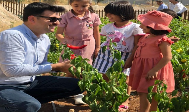Anaokulu öğrencileriyle sebze topladı
