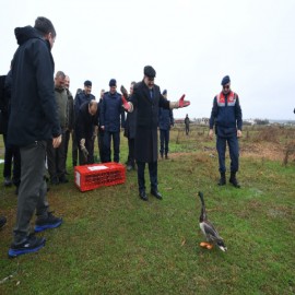 "Sulak alanları korumak, geleceğimizi korumaktır"