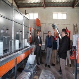 İskilip cevizi için önemli adım