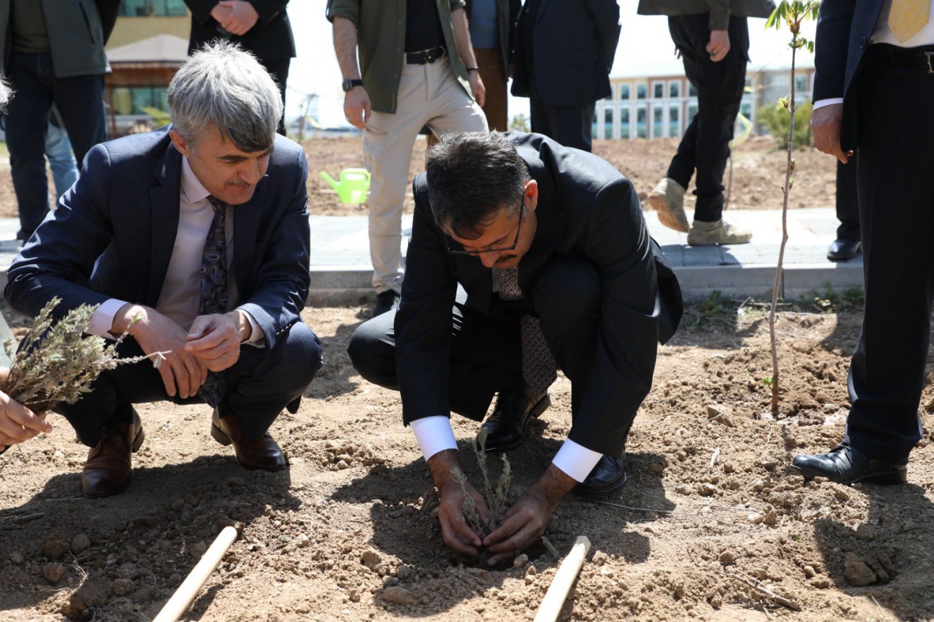 Depremzedelerin anısına fidan dikti