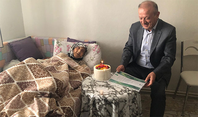 Kaymakam Demir, 2 padişah gören asırlık çınarları ziyaret etti;
