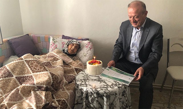 Kaymakam Demir, 2 padişah gören asırlık çınarları ziyaret etti