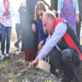 Vali Çalgan, “kırmızı altın” topladı