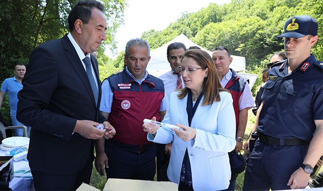 Bartın’da kahverengi kokarca alarmı: 2 bin 620 hanede mücadele başlatıldı;