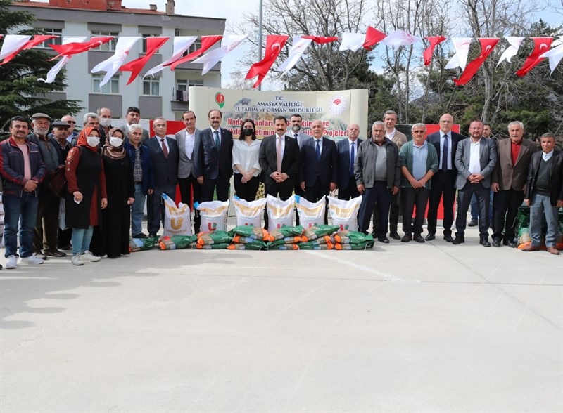 Amasya'da çiftçilere yonca ve nohut tohumu dağıtıldı;