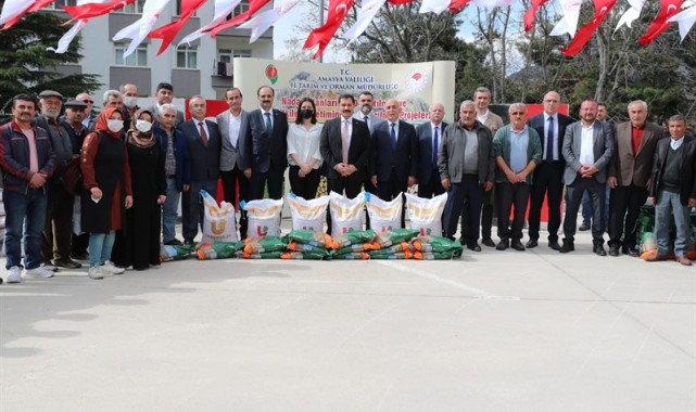 Amasya'da çiftçilere yonca ve nohut tohumu dağıtıldı