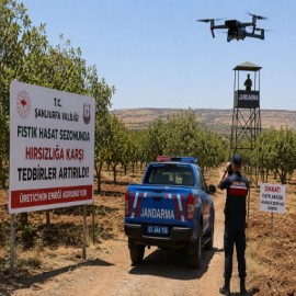 Türkiye'nin fıstığına sıkı koruma: Drone, fotokapan, komandolar devrede