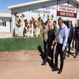 “Merhamet, bütün canlılara uzanan vicdanın adıdır”