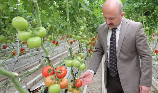 Vali Osman Varol’un hayali gerçek oluyor Diyadin Jeotermal Sera hayata geçiyor