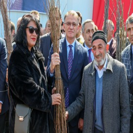 Van'ın bereketli toprakları yeşilleniyor