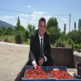 Kaymakam Yılmaz kiraz hasadında çiftçilerle buluştu