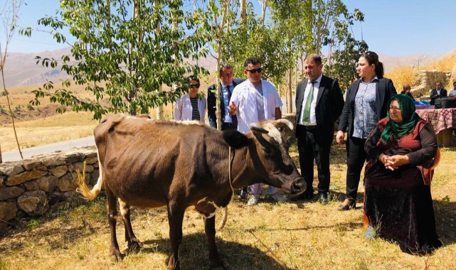 Dağdan düşerek telef olan ineğin yerine yenisi alındı