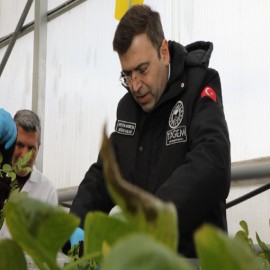 Niğde'de patates üretimi artacak