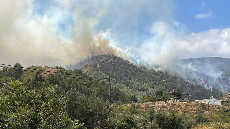 Hatay'da çıkan yangında sabotaj ihtimali araştırılıyor;