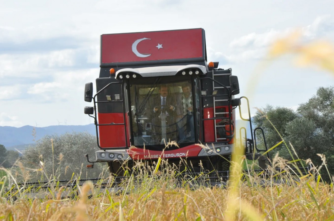 Damlaya damlaya çeltik oldu