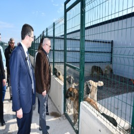 "Bu merkez, sokak hayvanlarının güven içinde olmasını sağlıyor"