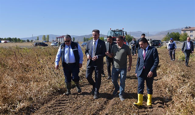 Vali Baruş, coğrafi işaretli şeker fasulyesini hasat etti