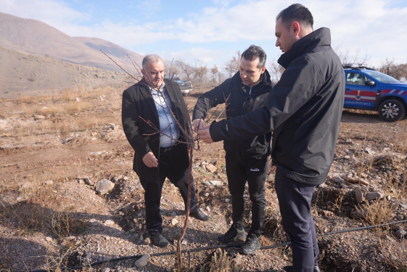 Üzümlü'de hedef; üretimde sürekliliğin sağlanması;