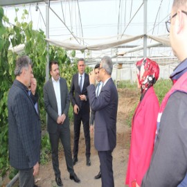 "Tarımsal üretimin, yerel ekonomiye katkısı büyük"