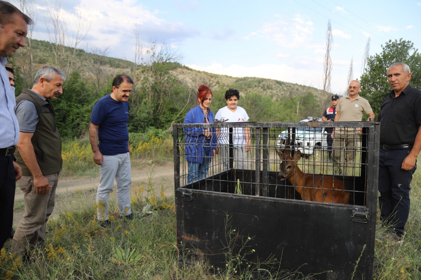 Vali tedavi edilen karacayı ‘bahtı açık olsun’ diyerek doğaya bıraktı;