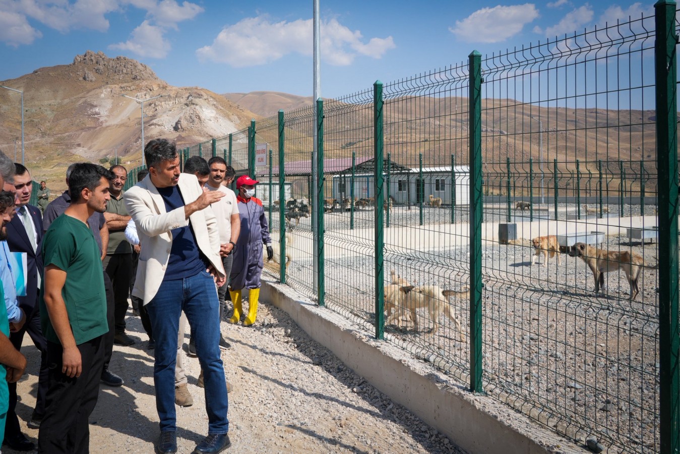 Hakkari'de 1 ay içinde sokaklarda başıboş hayvan kalmayacak;