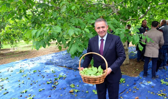 “Daha fazla Kaman Cevizi üreteceğiz”