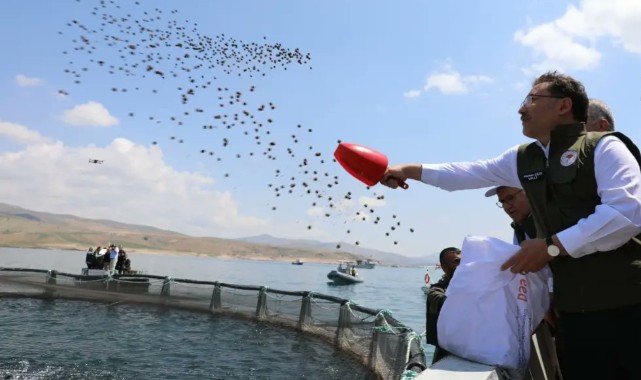 Denizi olmayan Kayseri'de balık hasadı !