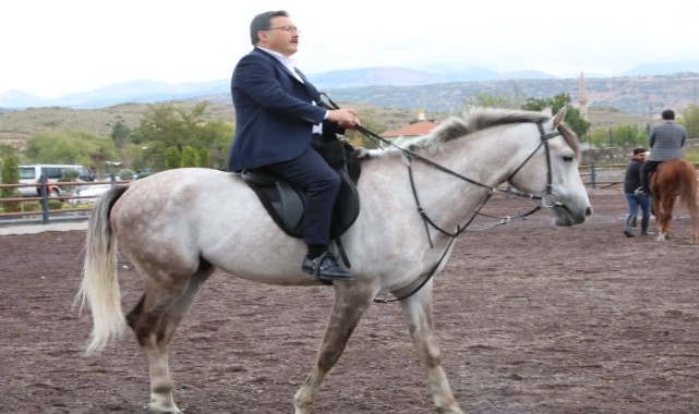 Bir yanda mandalar, bir yanda yılkı atları