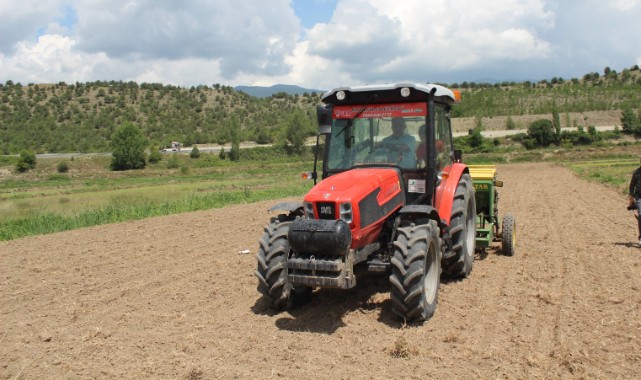 Traktörle çeltik eken Kaymakam, damlamalı çeltik sulamayı başlattı