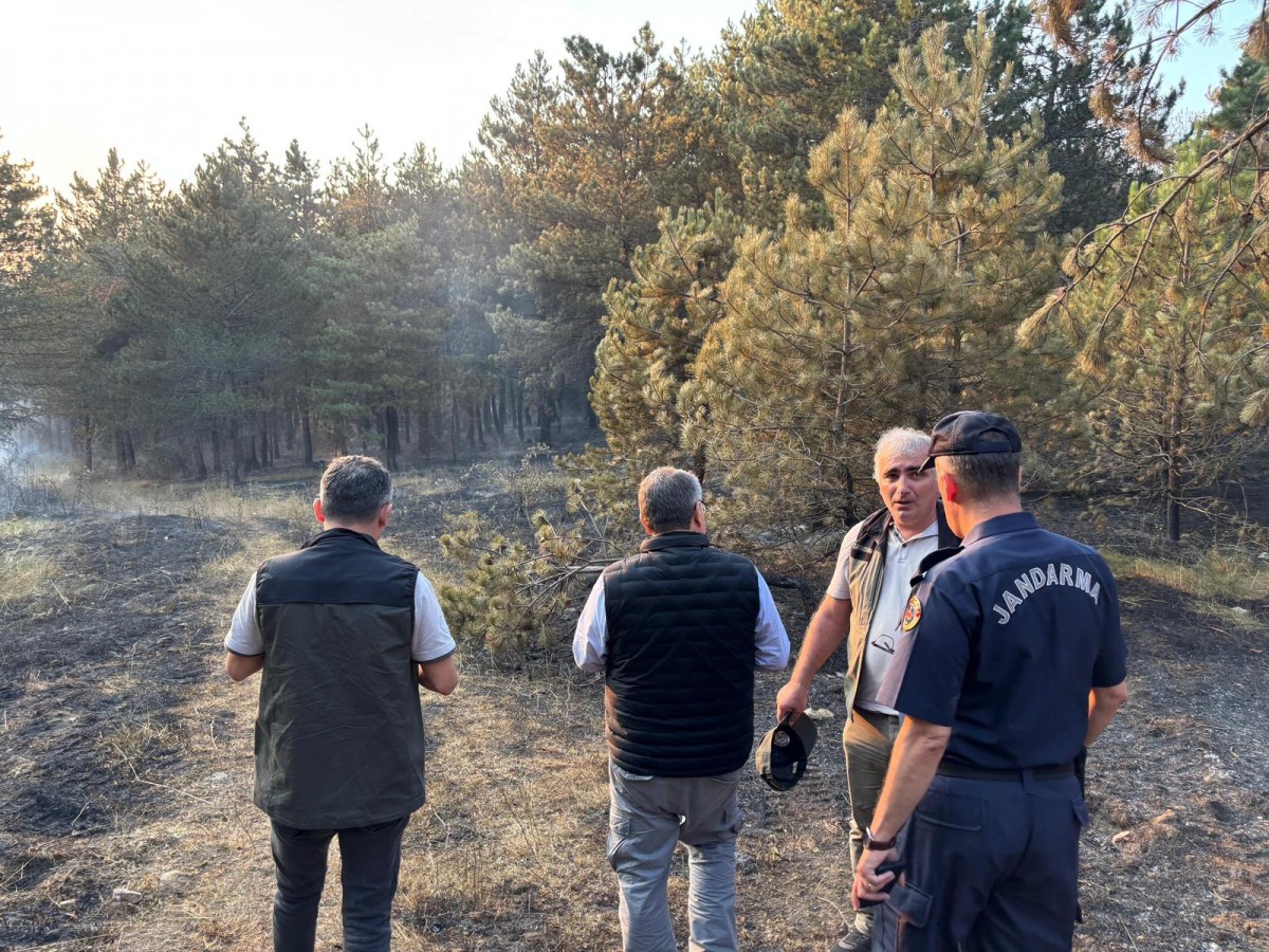 Sinop'ta orman yangını: Ekipler müdahale ediyor