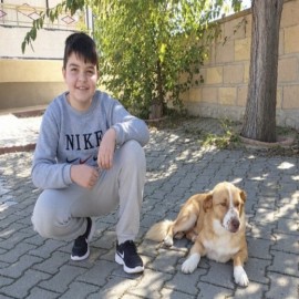 Cihanbeyli’de barınaktaki can dostlarına ilk el uzandı