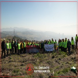 Kaymakam Çelik ve öğrenciler fidan dikti
