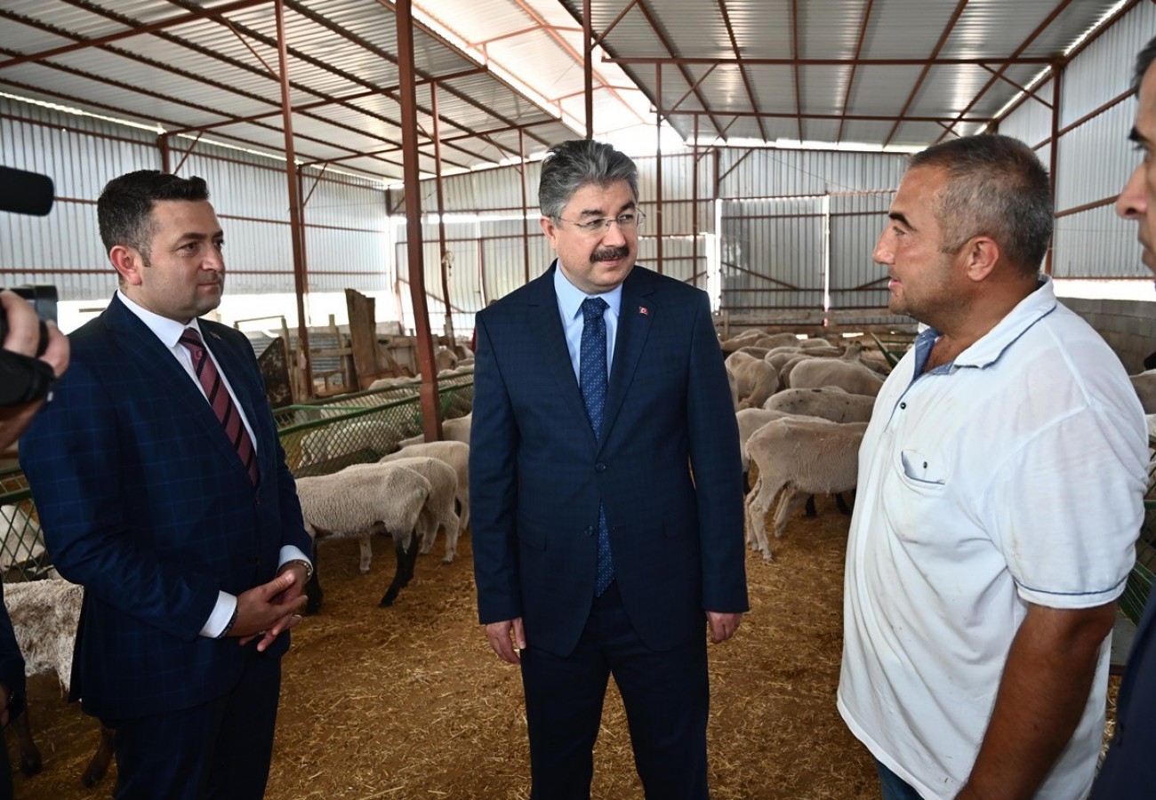 Faizsiz krediyle 100 koyunluk sürü sahibi oldu;