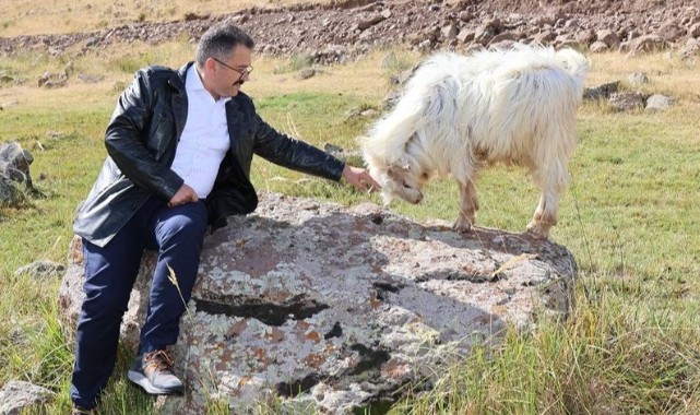 “Her karışına aşığız bu memleketin!”