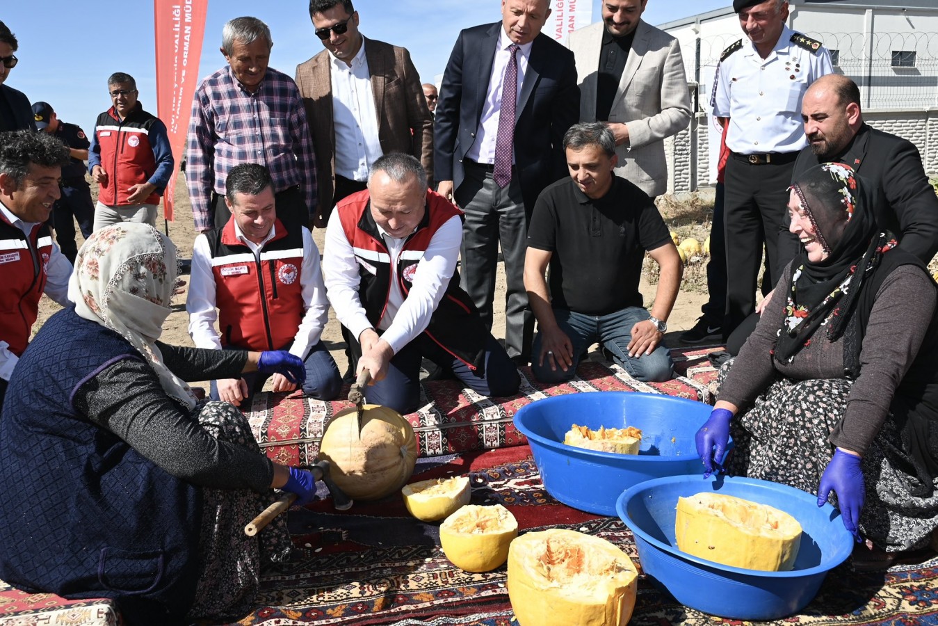 Coğrafi işaretli kabak çekirdeğinde hasat başladı;