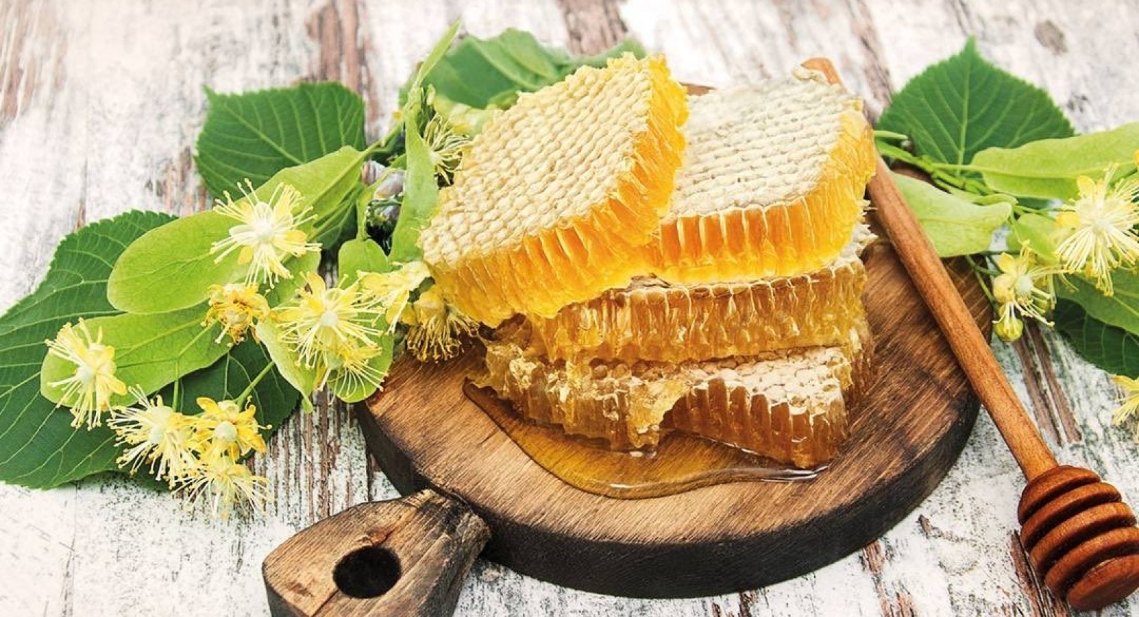 "Yenice Ihlamur Balı, dünyada rekabet gücü kazandı";