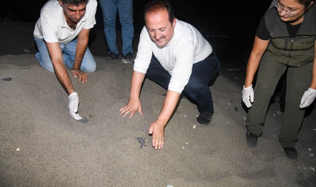 Yavru deniz kaplumbağalarının ilk adımlarına şahitlik etti