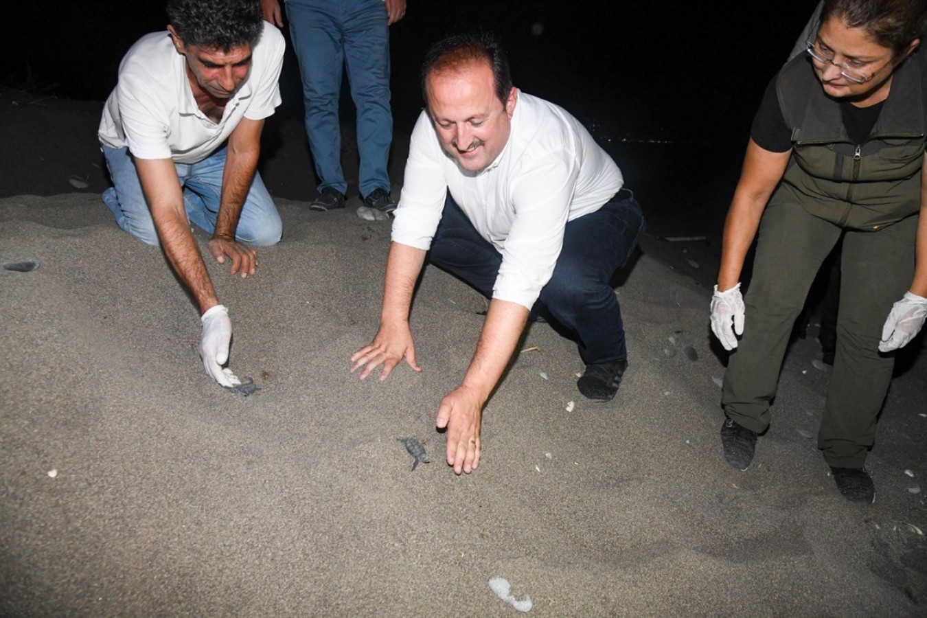 Yavru deniz kaplumbağalarının ilk adımlarına şahitlik etti;