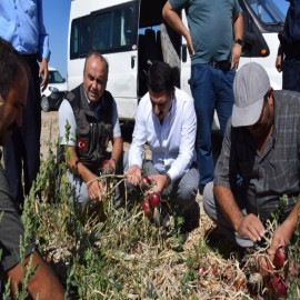"Her zaman üreticilerimizin yanındayız"