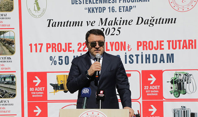 Musa Işın
