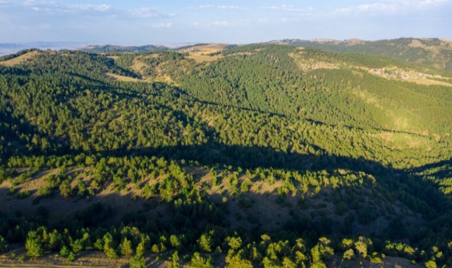 Çanakkale için uyarılar peş peşe geldi