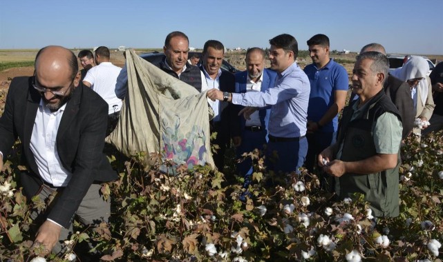 Viranşehir’de 350 bin dönüm arazi barajdan sulanacak