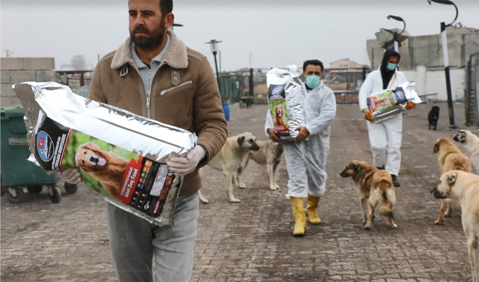 Kars’ta 1500 sokak hayvanı kısırlaştırıldı;