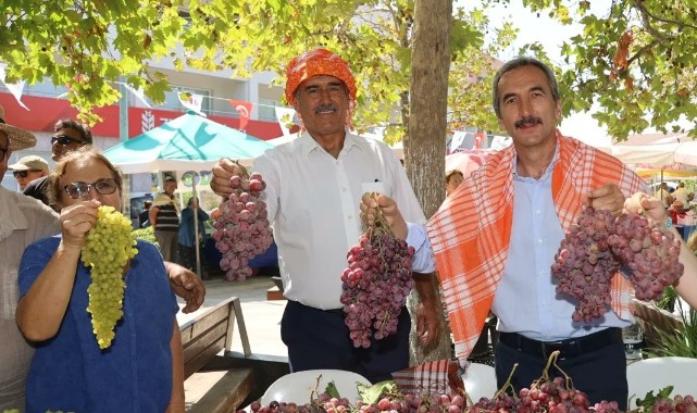 Urla'da bağbozumu zamanı