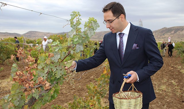 40 bin kişi Gercüş’teki festival coşkusuna ortak oldu