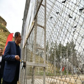 Sadece Şanlıurfa'da yaşayan kelaynaklar doğaya kanat çırptı