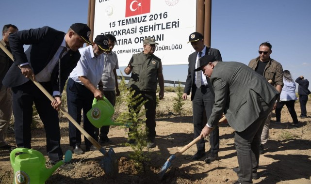 Şehitlerin hatırasına 251 yeni fidan