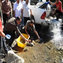 Kaymakam Kandemir, alabalıkları doğayla buluşturdu
